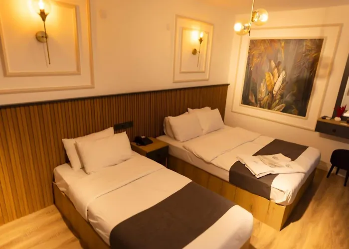 ホテル Isbilir 3*